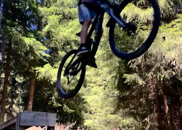 Domek alpejski Les Bosquitos